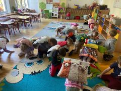 większy obrazek nr 9