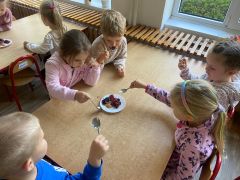 większy obrazek nr 3