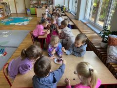 większy obrazek nr 7