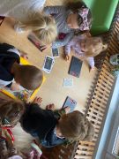 większy obrazek nr 2