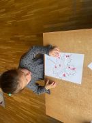 większy obrazek nr 13