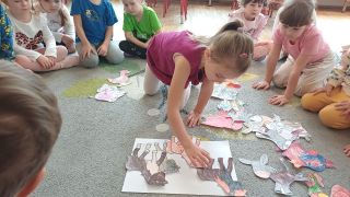 większy obrazek nr 6