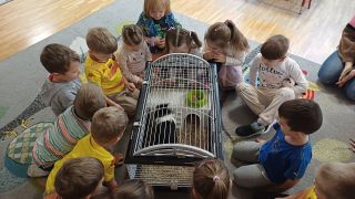 większy obrazek nr 14