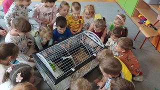 większy obrazek nr 16