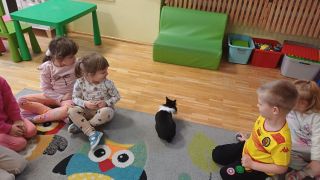 większy obrazek nr 19