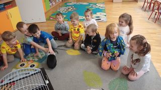 większy obrazek nr 20