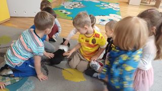 większy obrazek nr 21