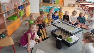 większy obrazek nr 23