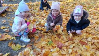 ilustracja do wpisu 
Piękna kolorowa jesień