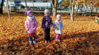 większy obrazek nr 5