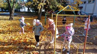 większy obrazek nr 7