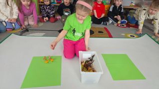 większy obrazek nr 7