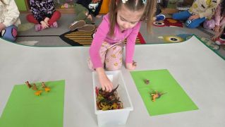 większy obrazek nr 8