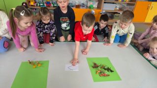 większy obrazek nr 9