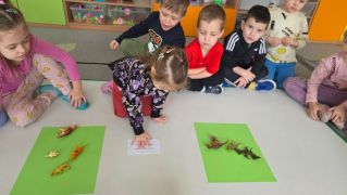 większy obrazek nr 11