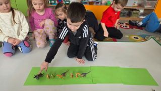 większy obrazek nr 12