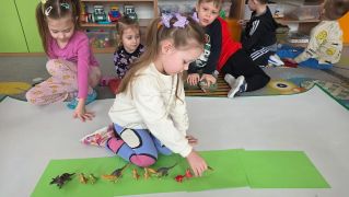 większy obrazek nr 13