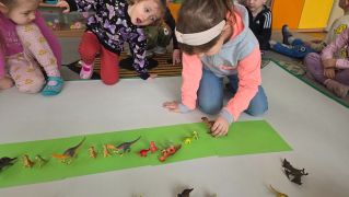 większy obrazek nr 14