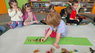 większy obrazek nr 15