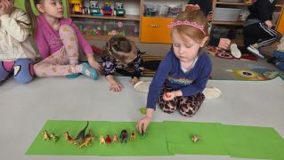 większy obrazek nr 16