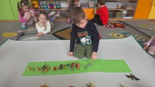 większy obrazek nr 17