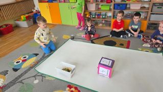 większy obrazek nr 25