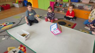 większy obrazek nr 26