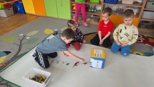 większy obrazek nr 27