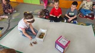 większy obrazek nr 28