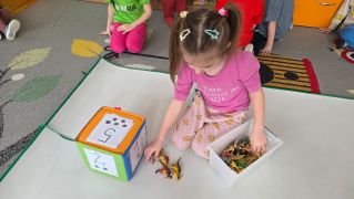 większy obrazek nr 29