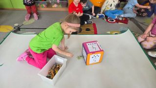 większy obrazek nr 30