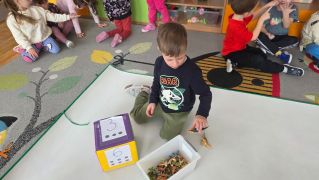 większy obrazek nr 31