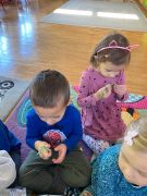 ilustracja do wpisu 
Świat roślin - zioła rosnące ma łące