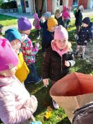 ilustracja do wpisu 
Ratujmy kasztany - udział w akcji