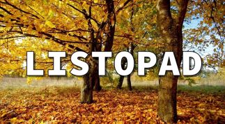 ilustracja do wpisu 
Tematyka na miesiąc listopad