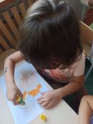 większy obrazek nr 13