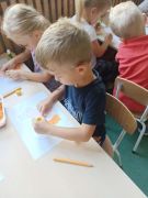 większy obrazek nr 17