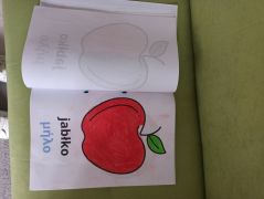 większy obrazek nr 7