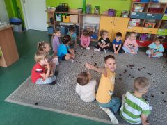 większy obrazek nr 2