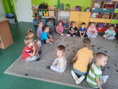 większy obrazek nr 3