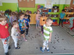 większy obrazek nr 4