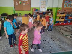 większy obrazek nr 7