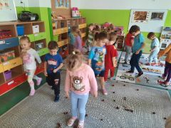 większy obrazek nr 8