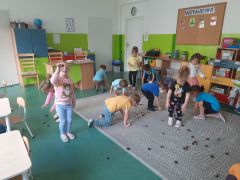 większy obrazek nr 13