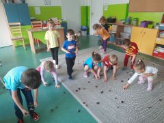 większy obrazek nr 17