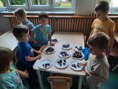 większy obrazek nr 27