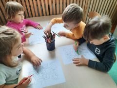 większy obrazek nr 17