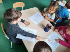 większy obrazek nr 26