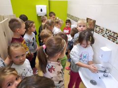 większy obrazek nr 5