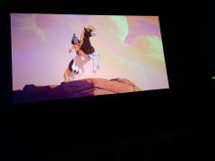 większy obrazek nr 19